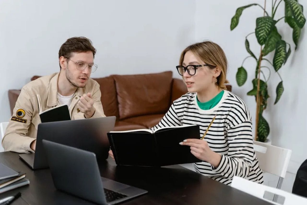 Developing Dreams: Web Services for Startup Success